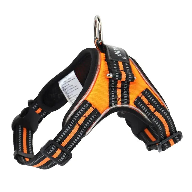 Oz Bargains™ LumiPaw LED Safety Dog Harness Set