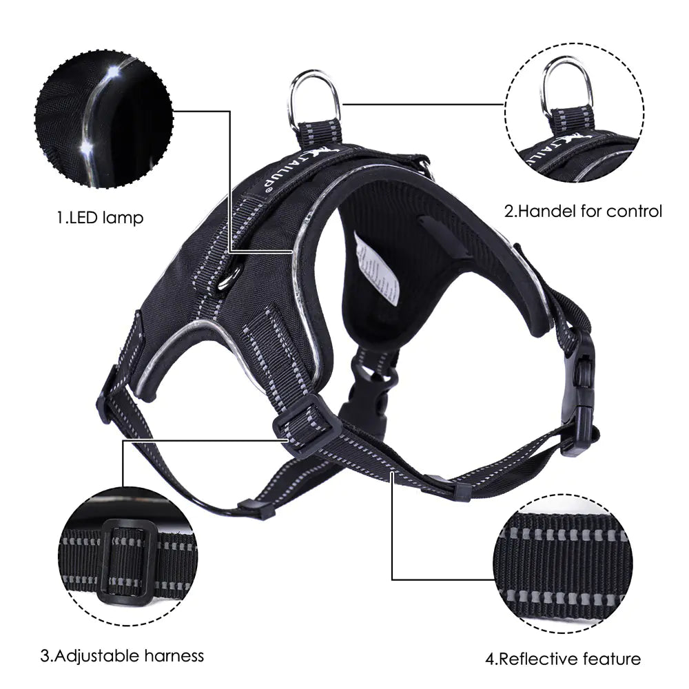 Oz Bargains™ LumiPaw LED Safety Dog Harness Set