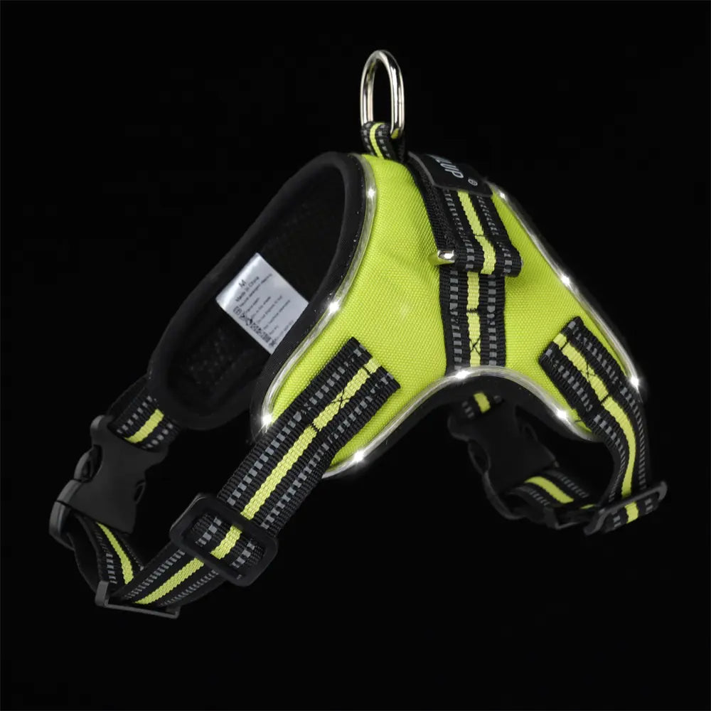 Oz Bargains™ LumiPaw LED Safety Dog Harness Set