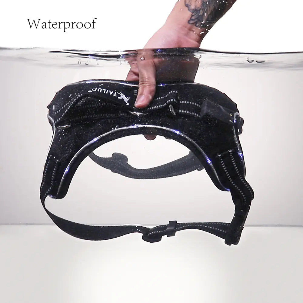 Oz Bargains™ LumiPaw LED Safety Dog Harness Set